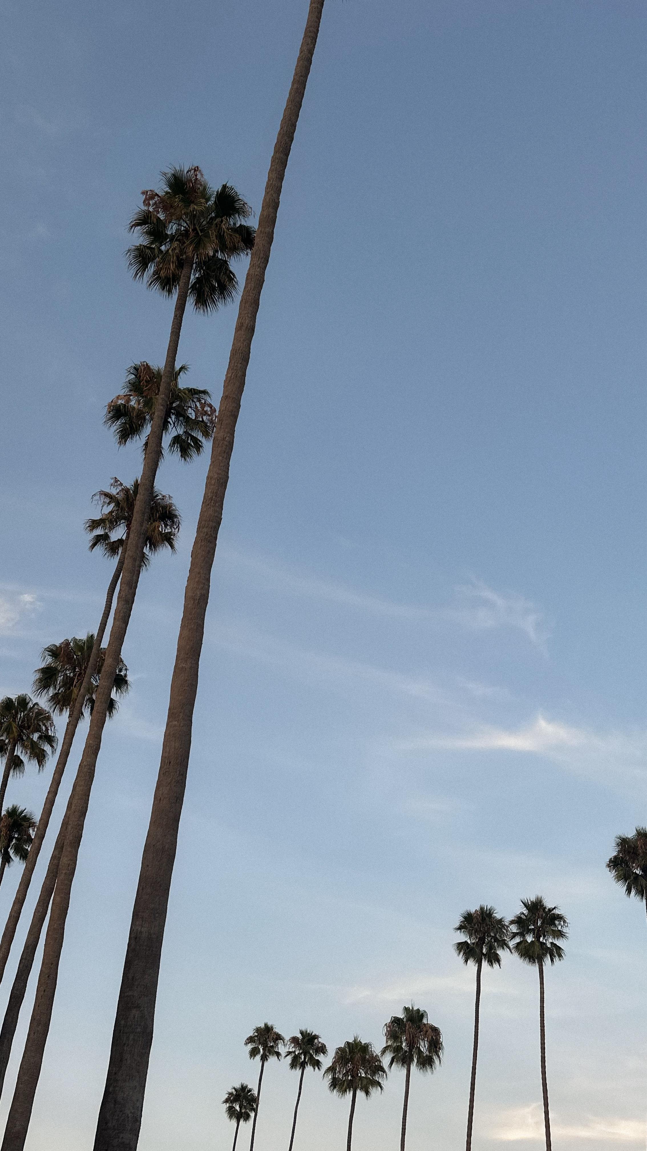 Instagram post by @astoldbymeredith for MONDAY Haircare. Caption reads: hot girl hair school: round brush blowout edition....