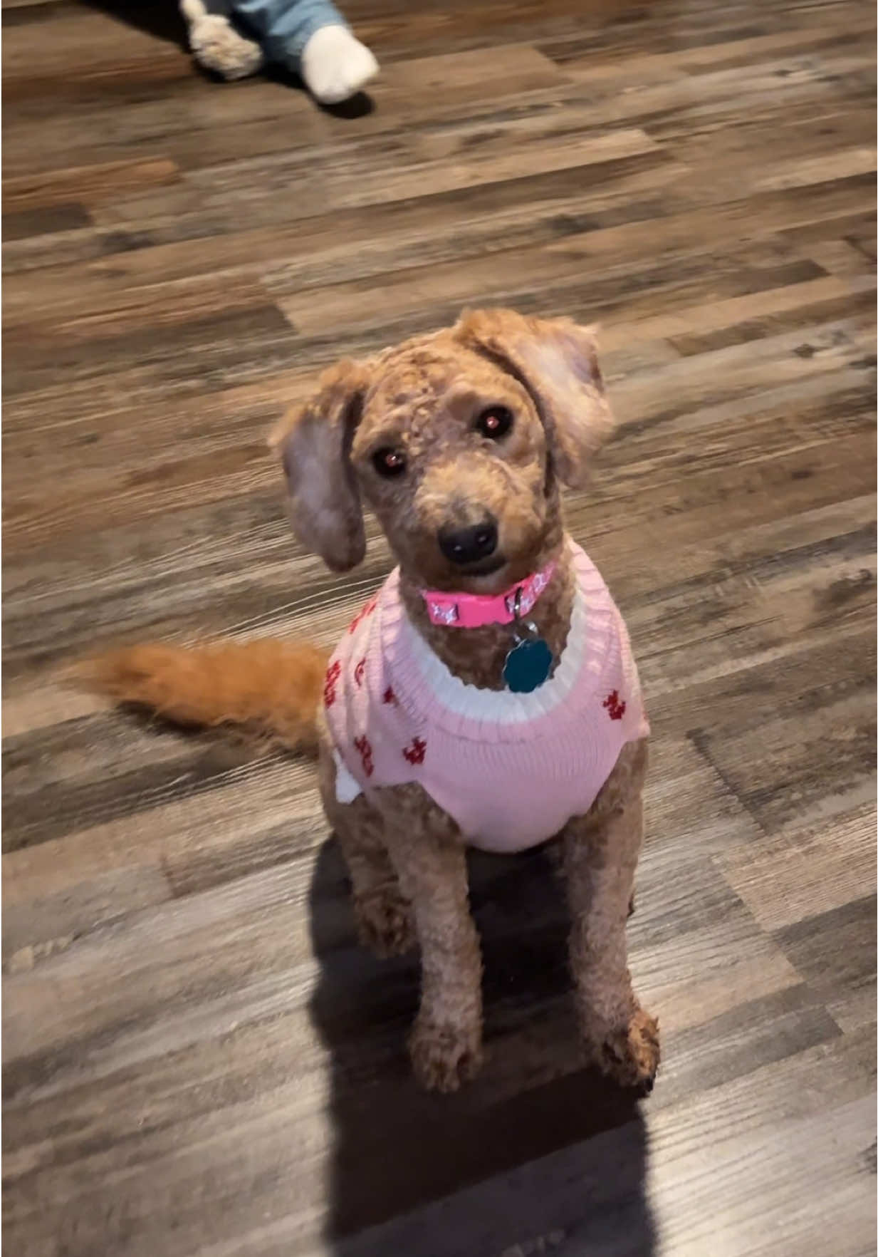 TikTok post by @emily.munozmiranda for We Love Doodles. Caption reads: @WeLoveDoodlesShop came in clutch with our new....