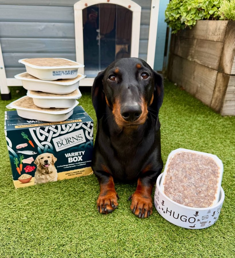 Instagram post by @hugo_and_ottos_adventures for Burns Pet Food. Caption reads: Kindly Gifted/AD 𝗕𝘂𝗿𝗻𝘀 𝗶𝘀 𝗕𝗲𝘀𝘁! 😋🐶 We....