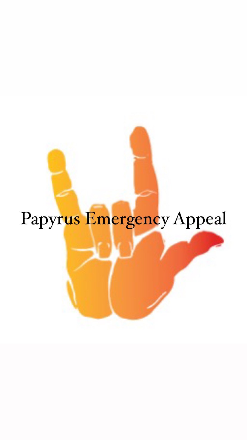 Instagram post by @lets.make.a_difference1 for PAPYRUS. Caption reads: I’m proudly supporting @papyrus_uk in their....