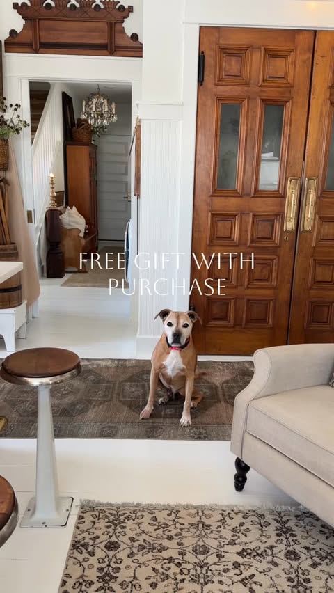 Instagram post by @debanddanelle for The Farmer's Dog. Caption reads: [...] of Fi membership. Terms apply. ....