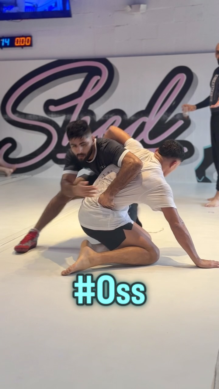 Instagram post by @shahzaibrindofficial for Goat Shed Academy. Caption reads: ONLY 8 Weeks Of MMA Jiu-Jitsu....