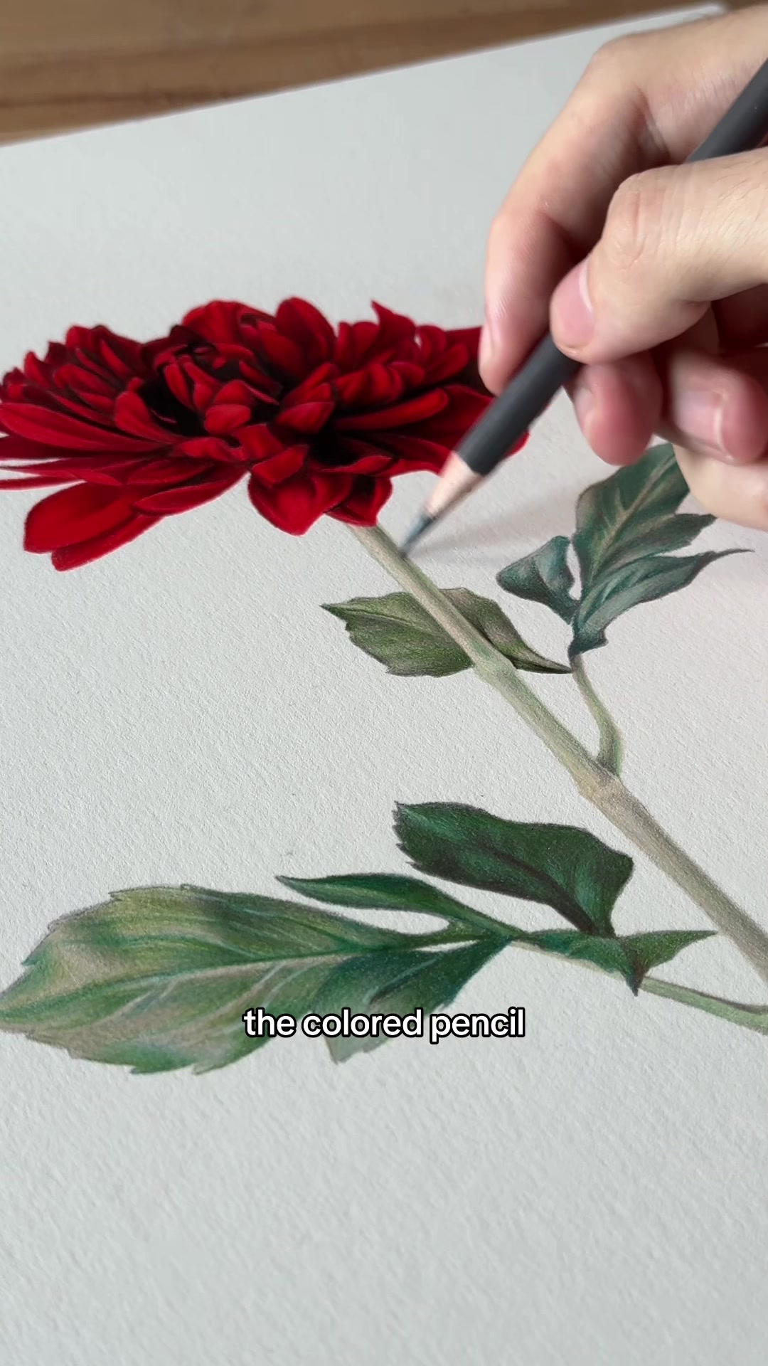 TikTok post by @artists.pages for Ohuhu. Caption reads: GIVEWAY — OHUHU HALAWA COLORED PENCILS 💫🎨 Meet....