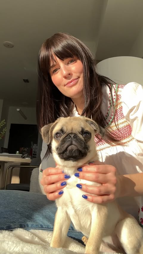 Instagram post by @chlobow_to for PetSmart. Caption reads: [...] Collection and the Puppy Guide from....