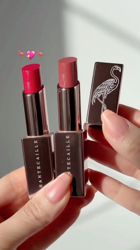 Instagram post by @fromsandyxo for Chantecaille. Caption reads: No words 🦩🎀 @chantecaille Flamingo Collection....