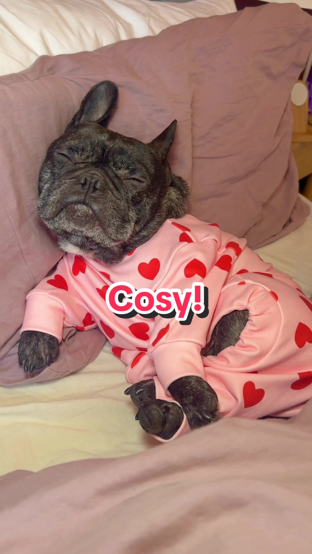 TikTok post by @eric_charming for Spark Paws. Caption reads: @SPARK PAWS have the cosiest fit for [...].