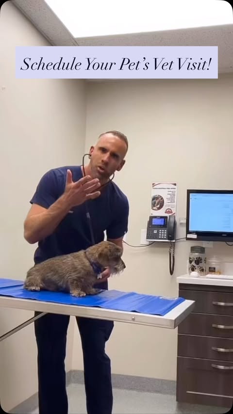 Instagram post by @adam_christman for Chewy. Caption reads: [...] that in addition to your veterinarian,....