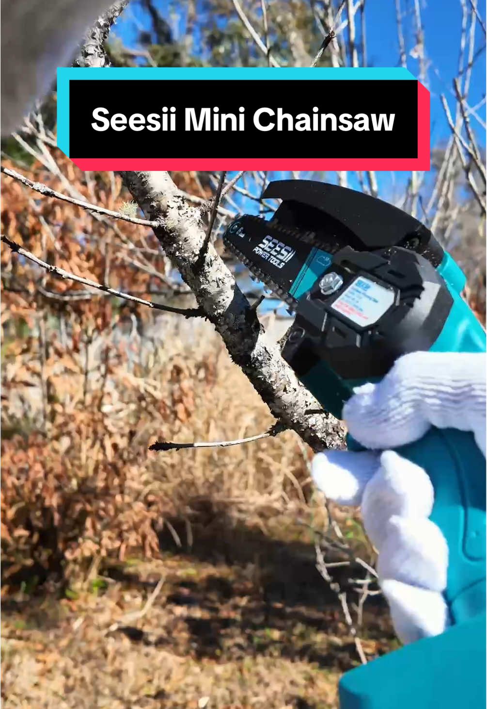 TikTok post by @karposlivinghomestead for Seesii. Caption reads: [...] chainsaw but this mini chainsaw from @SEESII....