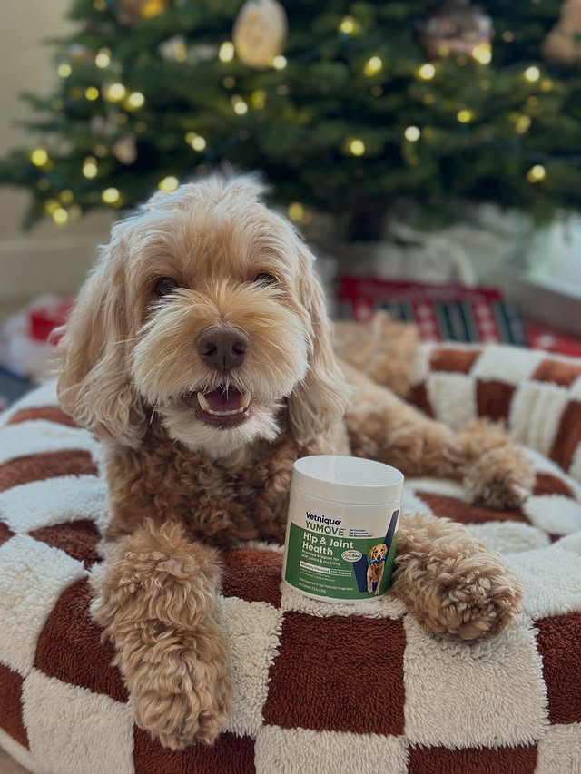 Instagram post by @sampson_the_dood for Vetnique. Caption reads: [...] it’s a treat. Available at PetSmart!....