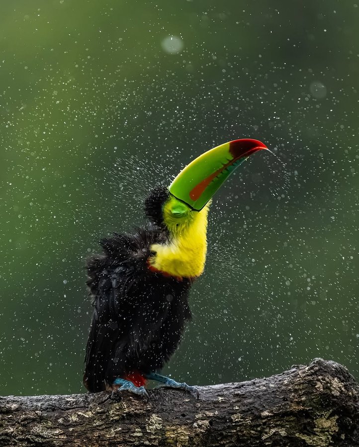 Instagram post by @sasan__amir for Discover Earth. Caption reads: Shower time never looked so colorful 🌈

📍Costa....