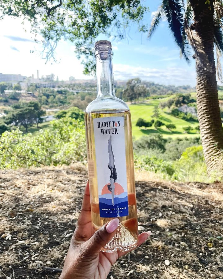 Instagram post by @havilahvashti for Hampton Water Wine. Caption reads: Hello summer  @hamptonwater 🍷🧺 #hamptonwater....