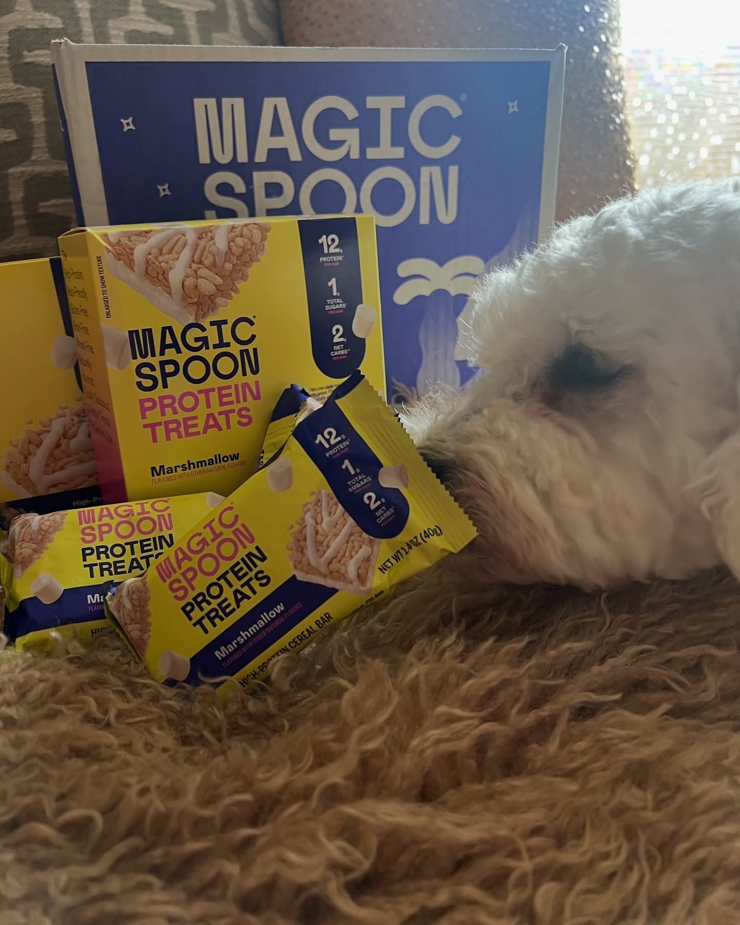 Instagram post by @adventuresofamadeus for Stack Influence. Caption reads: Mom said they’re not for pup but they smell....