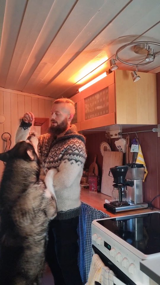 Instagram post by @pilotviking for The Beard Struggle. Caption reads: Cabin vibes with my quick Beard routine before a....