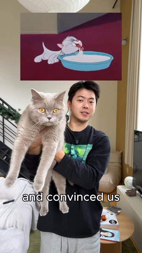 Instagram post by @porkybellyandjim for RAWZ Natural Pet Food. Caption reads: The gang is lactose intolerant :/ but we’ve got....