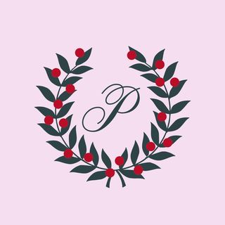 vspink logo