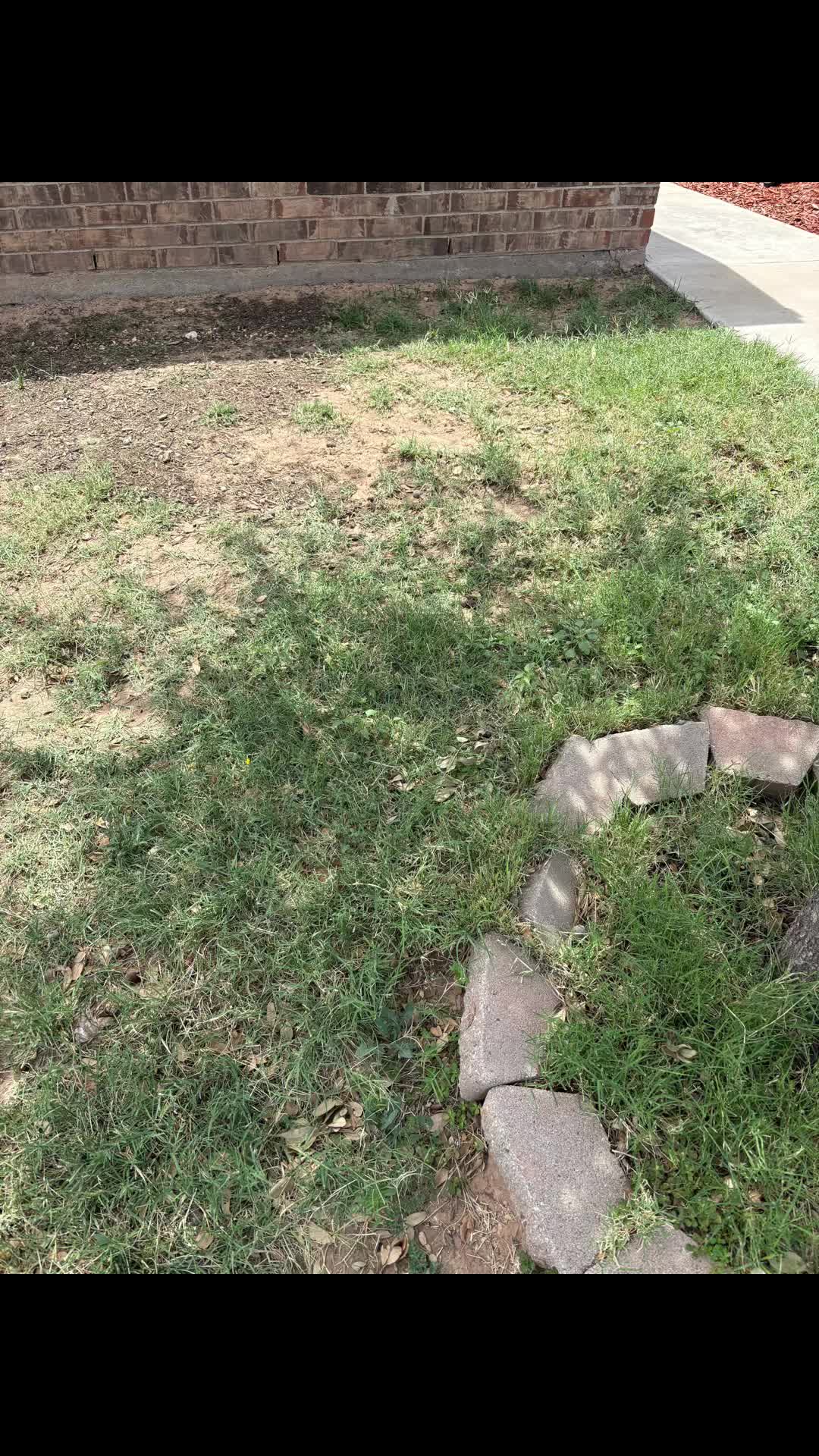 TikTok post by @mrsateachesmath for Simple Lawn Solutions. Caption reads: [...] the results I have gotten so far!....