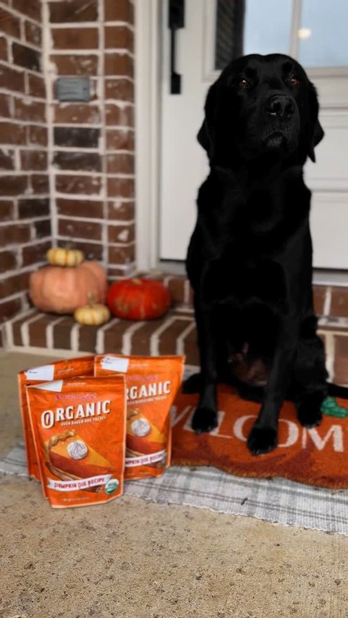 Instagram post by @meganelizmorgan for Grandma Lucy's. Caption reads: @grandmalucys just launched their seasonal Pumpkin....