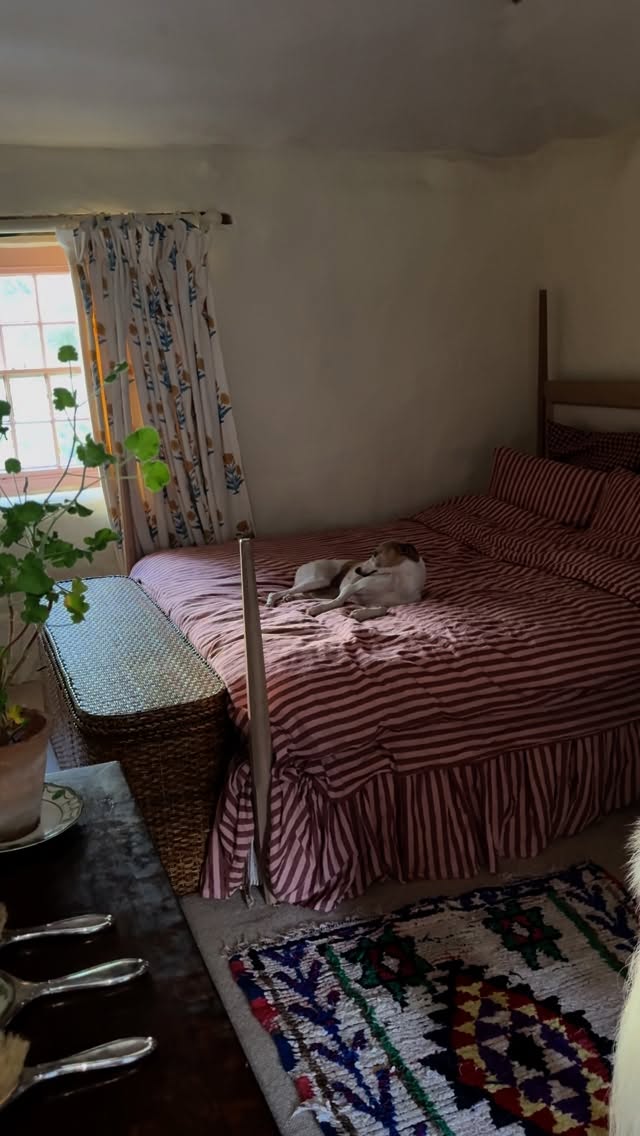 Instagram post by @calliecoles for Piglet in Bed. Caption reads: [...] it…

I had tea in bed wrapped up in....