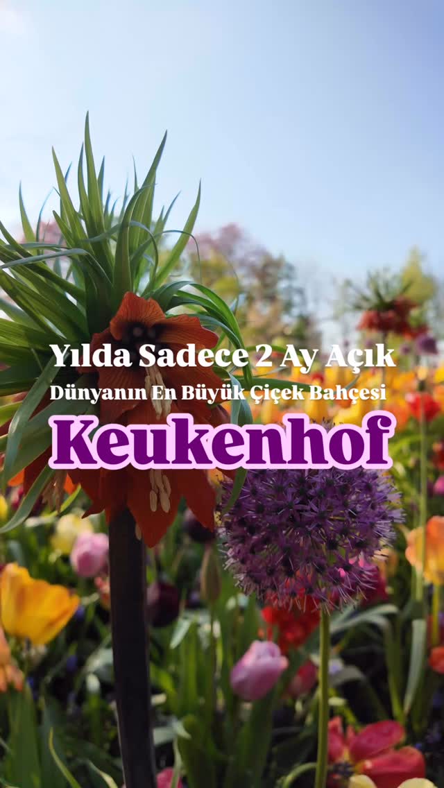 Instagram post by @ozanturgut for Passion Passport. Caption reads: 🇹🇷 Keukenhof’ta yürümek, baharın tam kalbine....