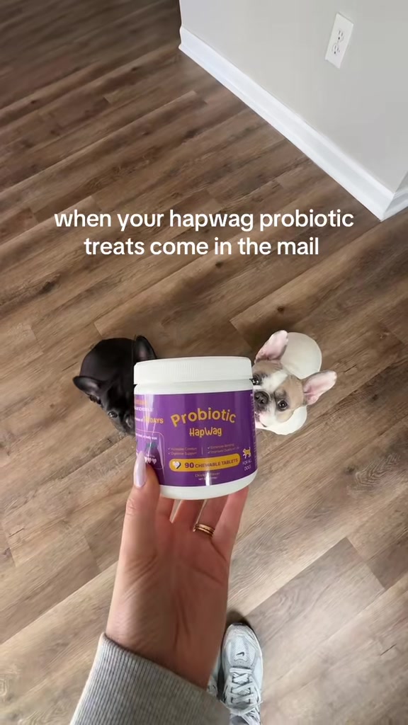 TikTok post by @torifaith03 for Hapwag Pets. Caption reads: Love us some @HAPWAG PETS ! 💜 #happywag....