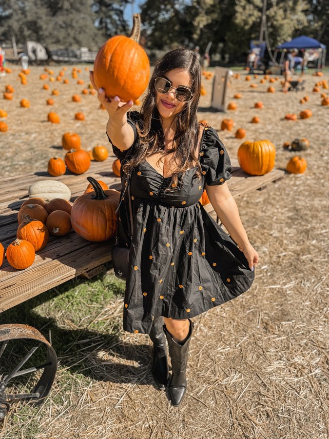 Instagram post by @haleymartinoxo for Pink Lily. Caption reads: [...] with all of the pumpkin vibes in my....