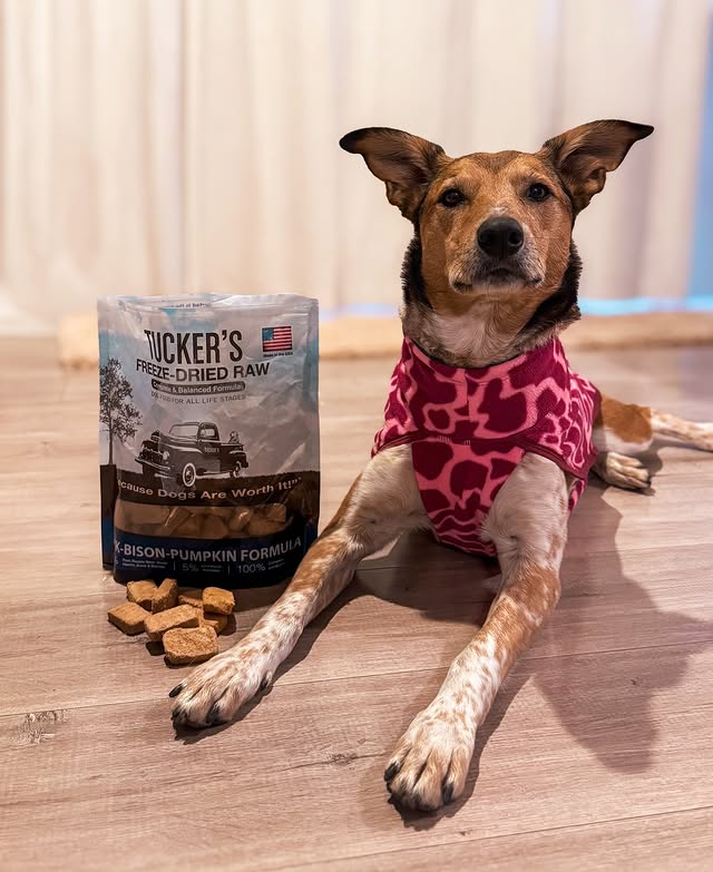 Instagram post by an influencer for Tucker's Raw. Caption reads: [...] trip and can’t forget our @mytuckersraw....