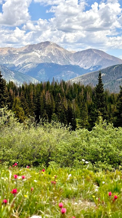 Instagram post by @groundupadventures for Humm Kombucha. Caption reads: Cheers to summer adventures and enjoying the....