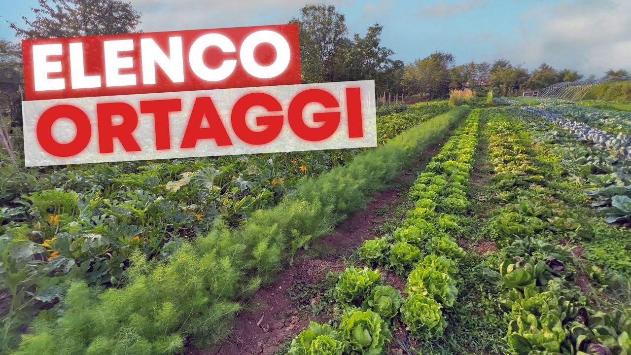 YouTube post by @MattTheFarmerOfficial for Fernandes Supermercados. Caption reads: 20 VEGETABLES TO GROW NOW.