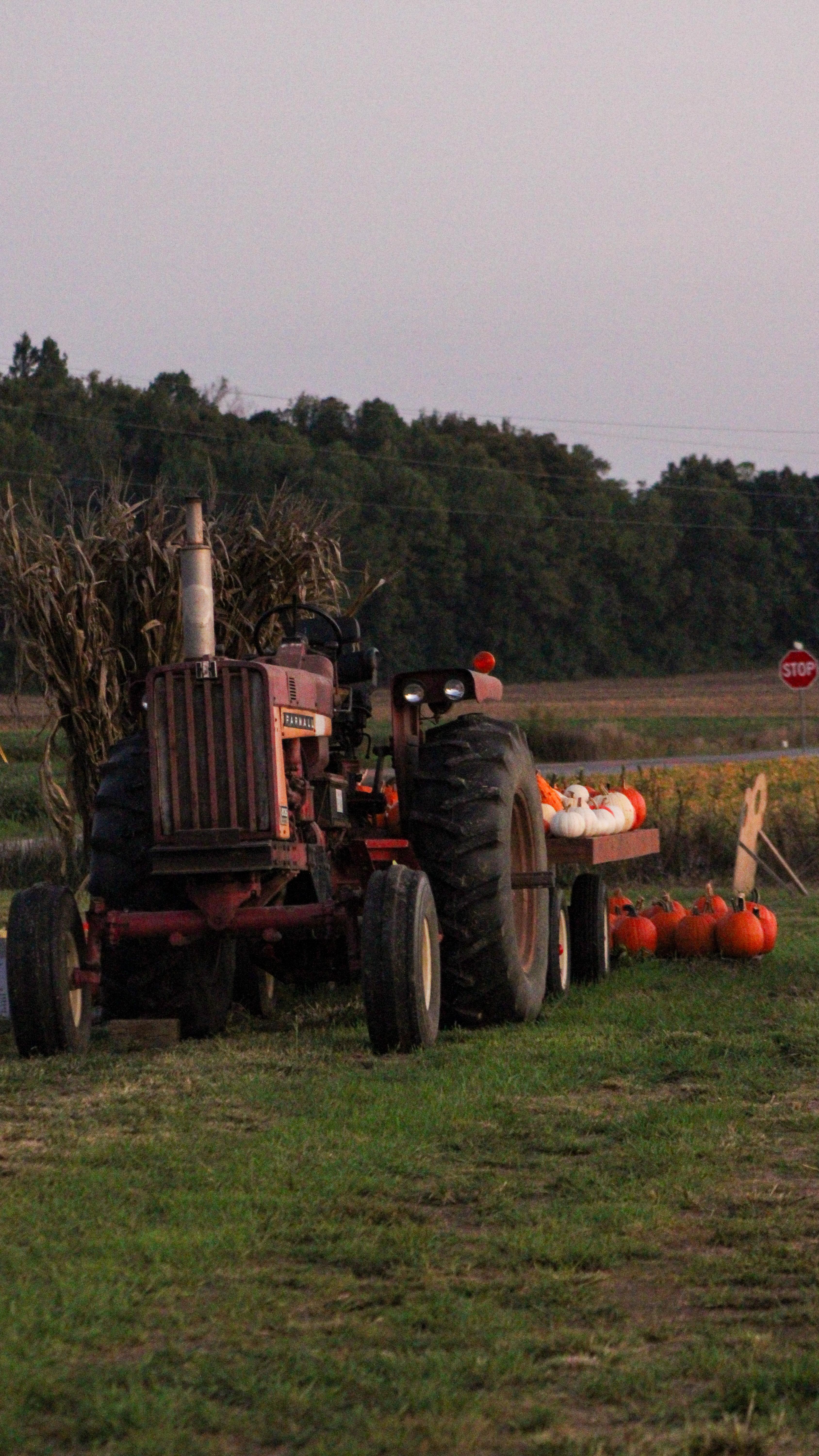 Instagram post by @thefarmergrayce for Shell Rotella. Caption reads: #Sponsored Congratulations to Tod B from Gurnee,....