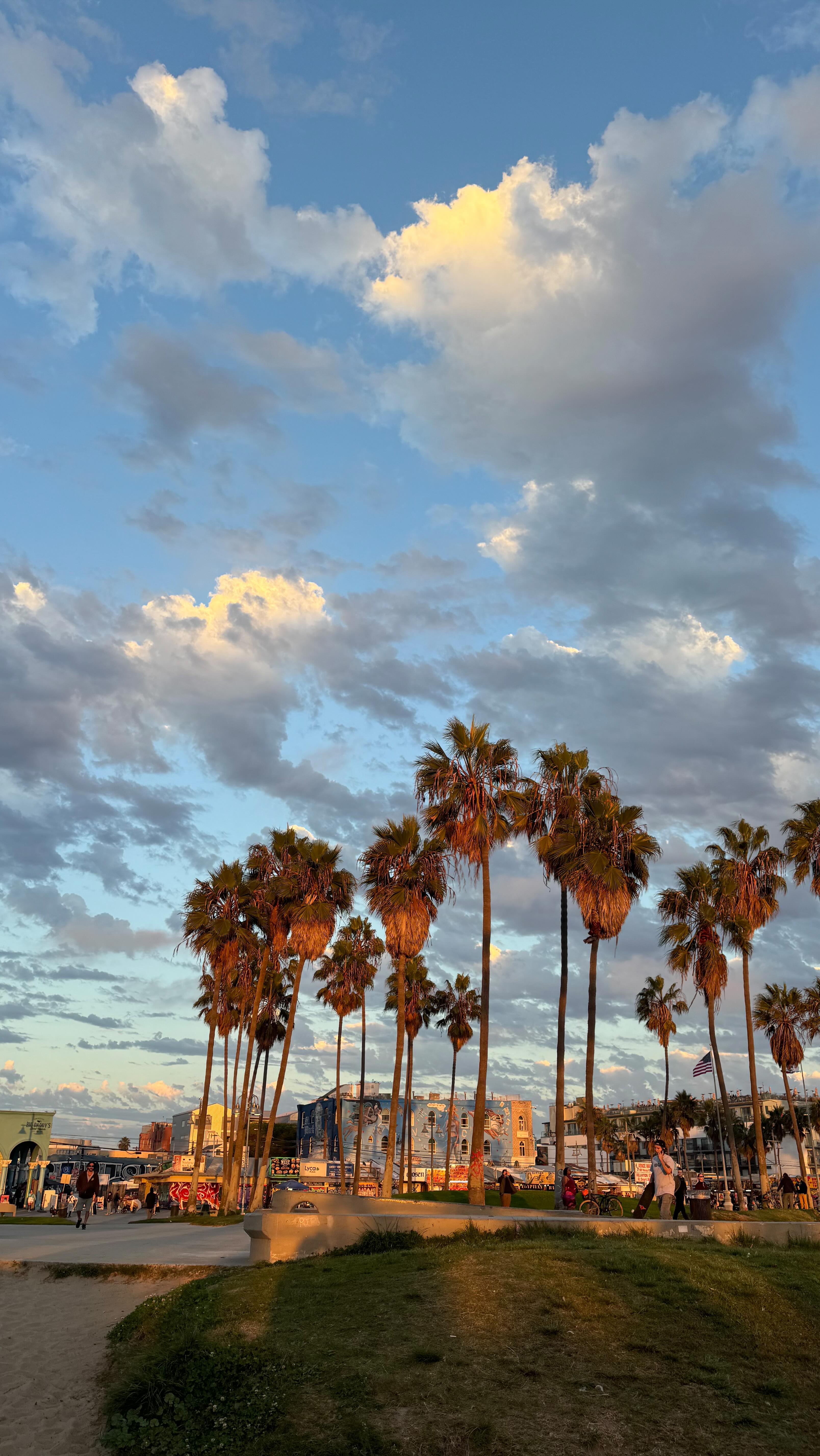 Instagram post by @tivphull for Ford Bronco. Caption reads: #Ford_Ambassador Raced a Ford Mustang® &....