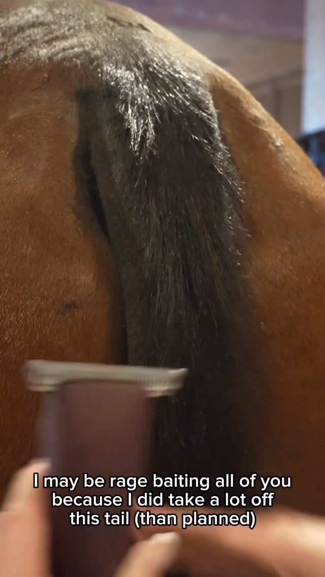 Instagram post by @clairecumbee for Corro Shop. Caption reads: Let’s trim up a tail for a horse trial using these....