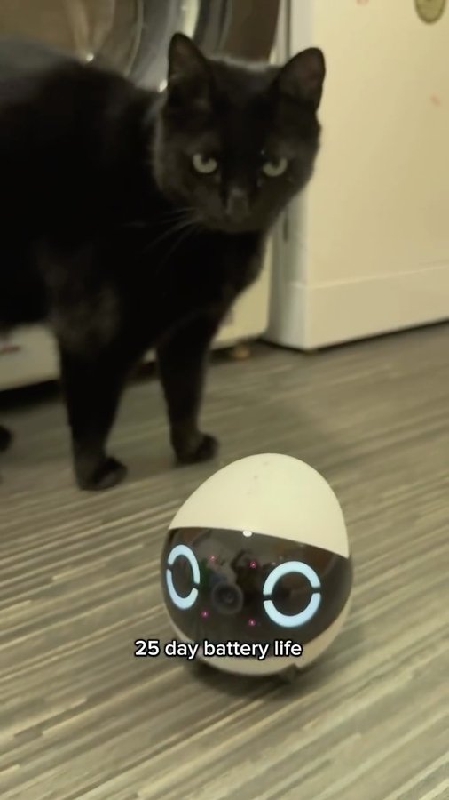 Instagram post by @kit.has.cats for Enabot. Caption reads: You know that feeling when you miss your pets more....