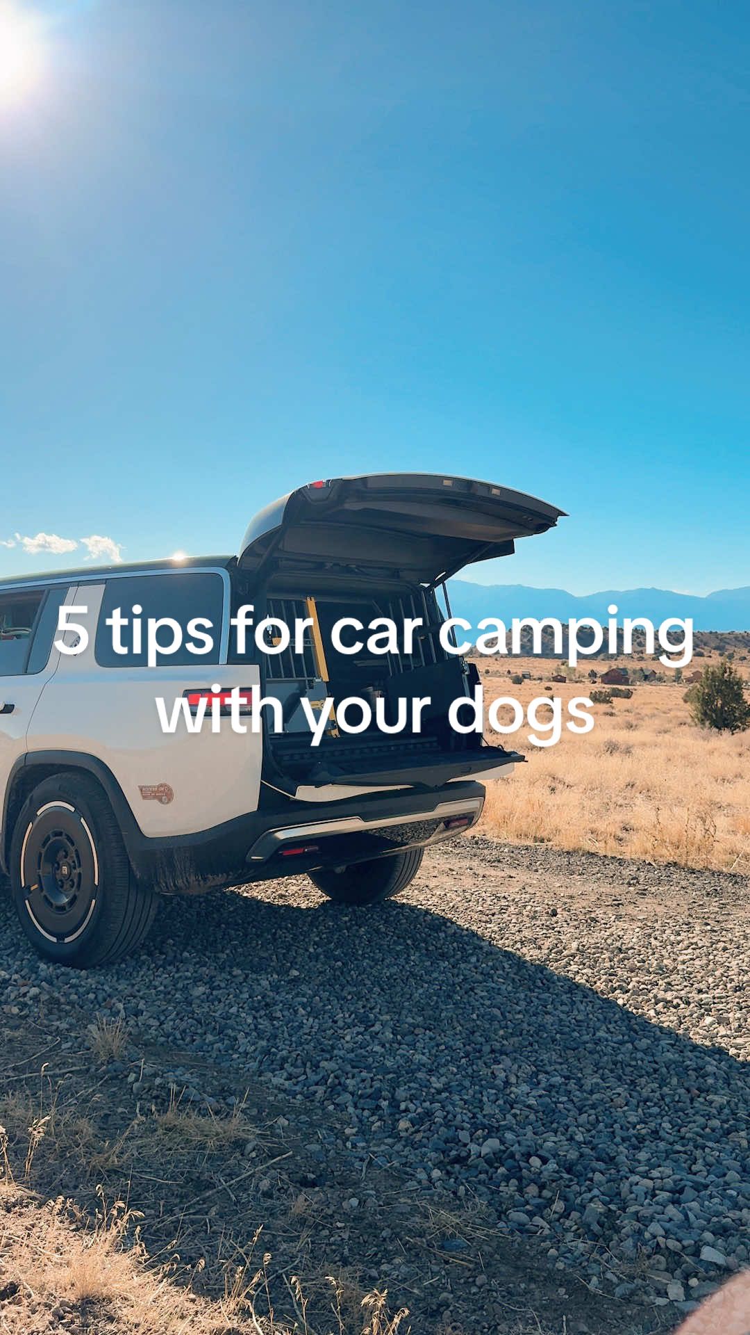 TikTok post by @emwng for ORIJEN Petfoods. Caption reads: The sheps and I spent a few days car camping in....