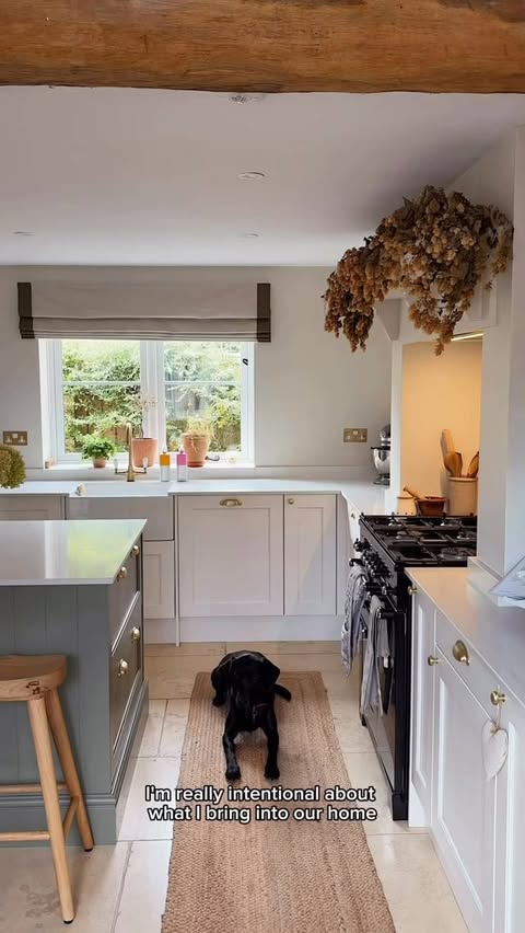 Instagram post by @therosebarnhome for Different Dog. Caption reads: [...] into our home. We’ve been trying Different....