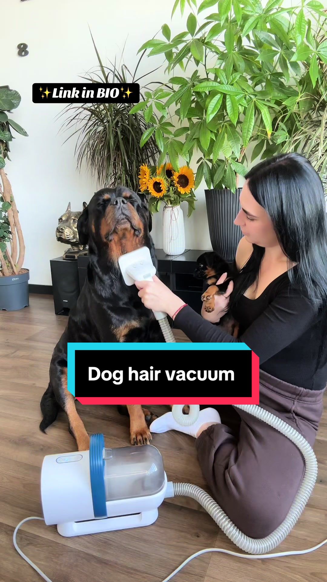 TikTok post by @gangrottie for Oneisall. Caption reads: No more flying fur  😌  💫Link in BIO  ✨Use Code :....