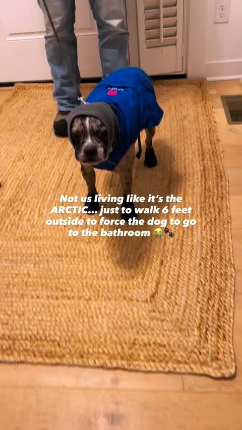 Instagram post by @amanda_svendsen for ororo Heated Apparel. Caption reads: Goggles ✅ Gloves ✅ Face covered ✅ Dog in a HEATED....