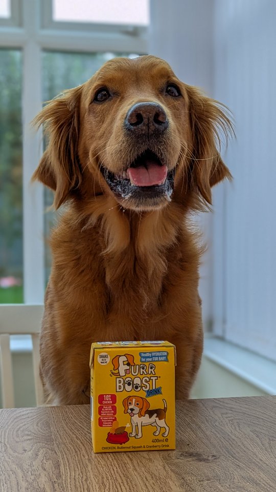 Instagram post by @ralph.smiles for Furr Boost. Caption reads: [...] carton until 15th October, go go go!....