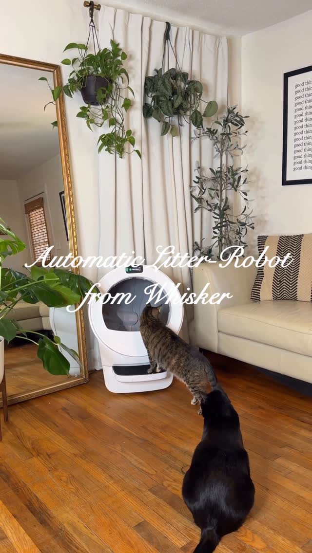 Instagram post by an influencer for Litter-Robot by Whisker. Caption reads: I can’t tell who loves this more, us or our cats?!....