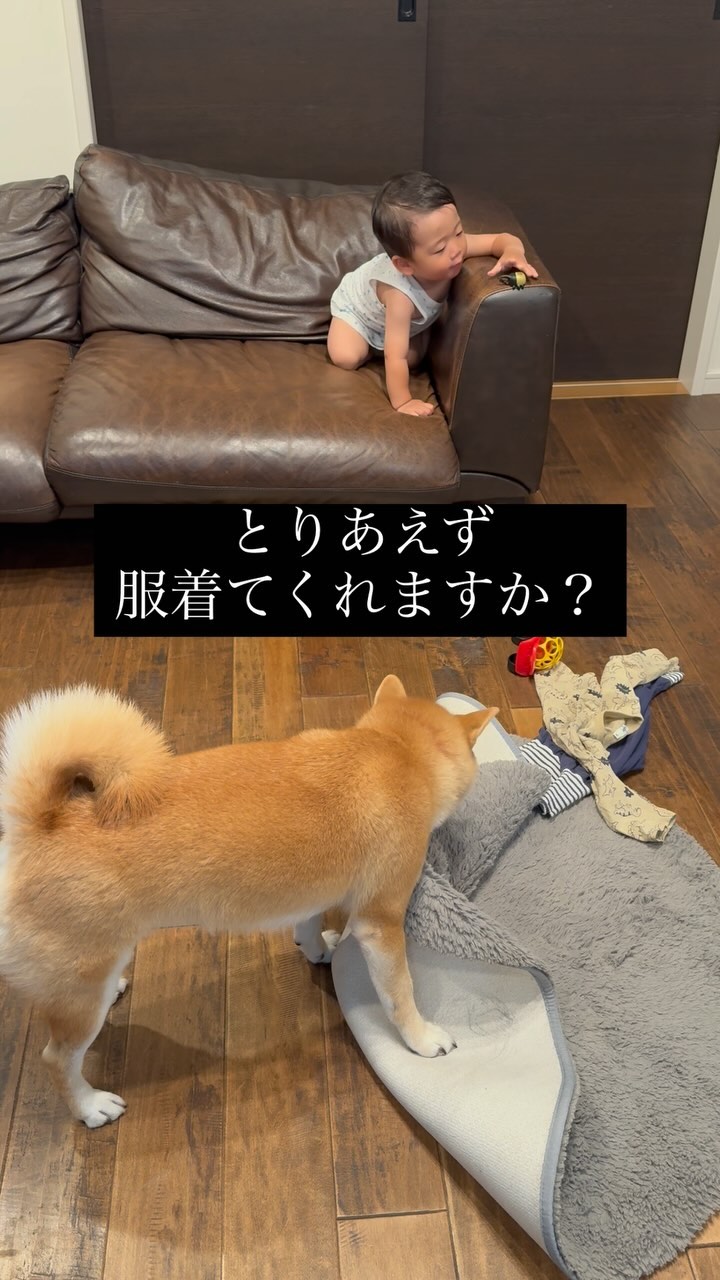 Instagram post by @oimo.shibainu for nicosoap. Caption reads: スベスベ坊っちゃんに、ますます夢中になるおいも🐕❤️

Instagramでずっと気になっていた....