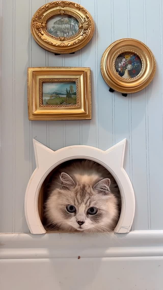 Instagram post by @joyfullygreenhome for Fancy Feast. Caption reads: [...] with his very own DIY fancy corner!....