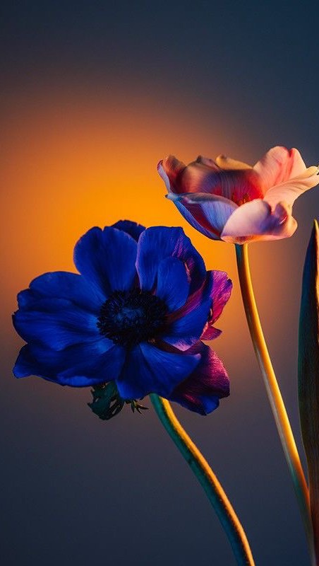 Instagram post by @daliagurrola for PepsiCo. Caption reads: Maquillaje switch 🩷💙 Inspirandome en el switch....