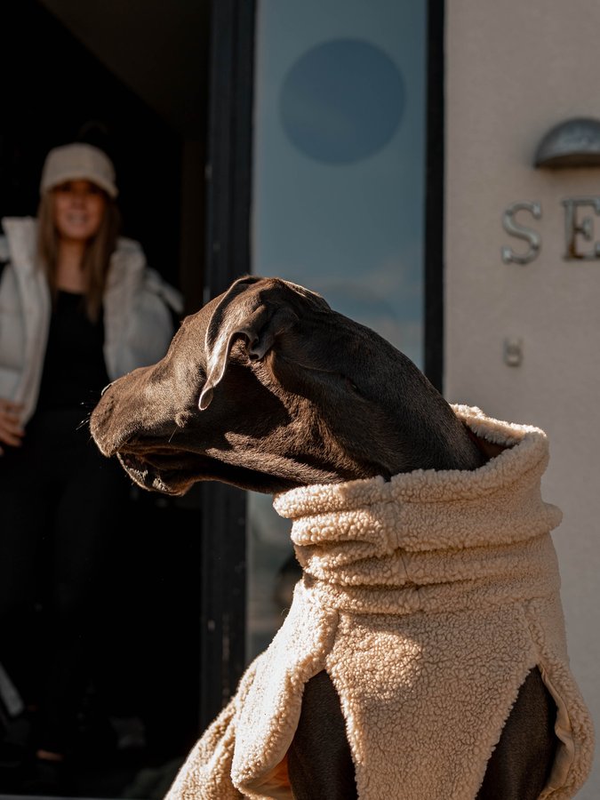 Instagram post by @sven.sune for PAIKKA. Caption reads: 🍁 Autumn vibes + Paikka Pet = the perfect match....