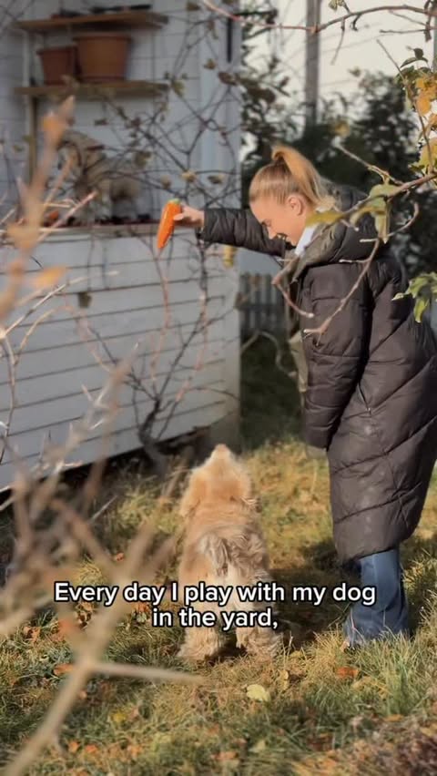 Instagram post by @parv_stylee for Muddy Mat. Caption reads: [...] cleaning the floors until I found @muddymat....