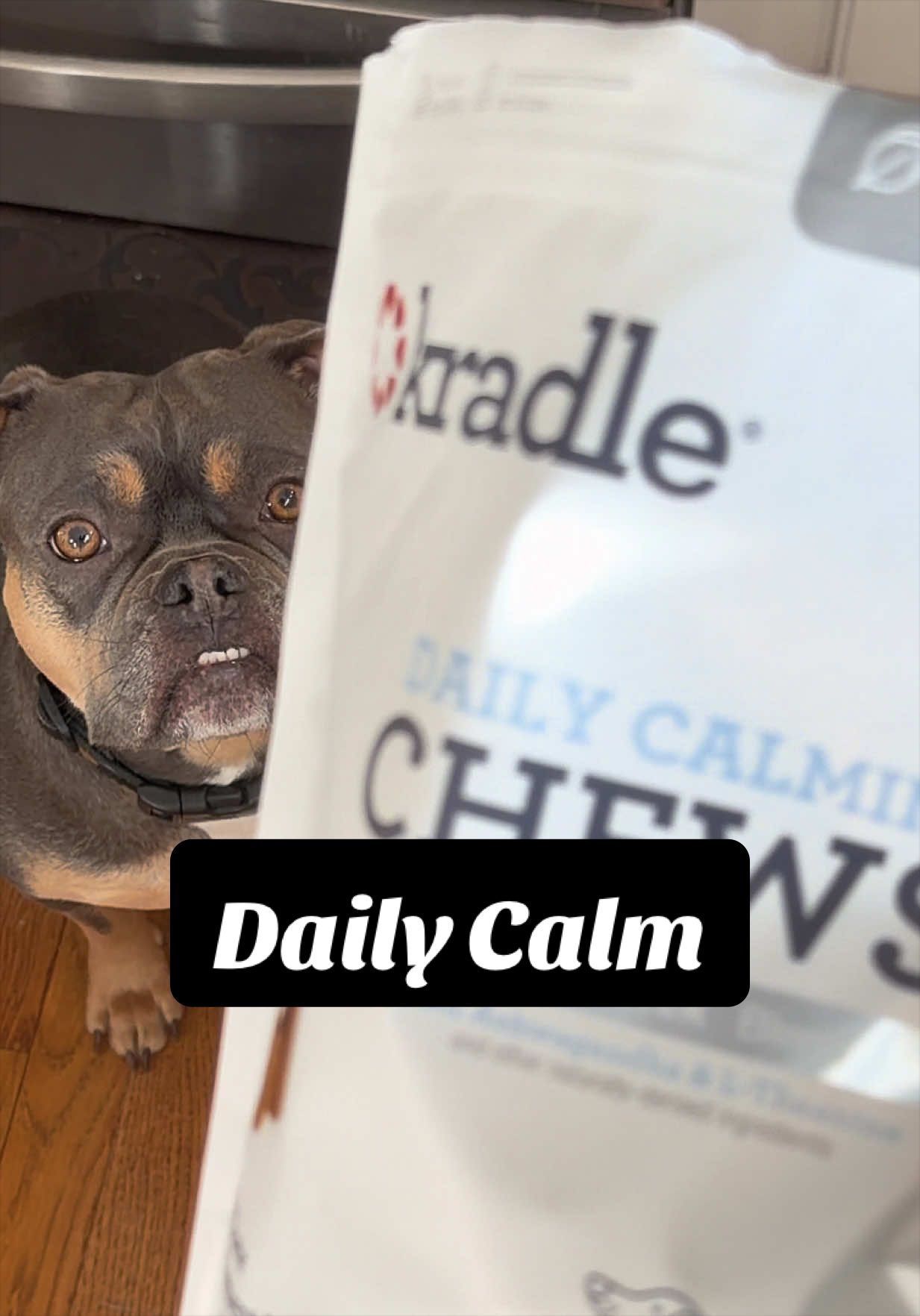 TikTok post by @bigglesworld for Kradle. Caption reads: [...] feeling nervous or anxious ❤️🐶🐾 @Kradle My....