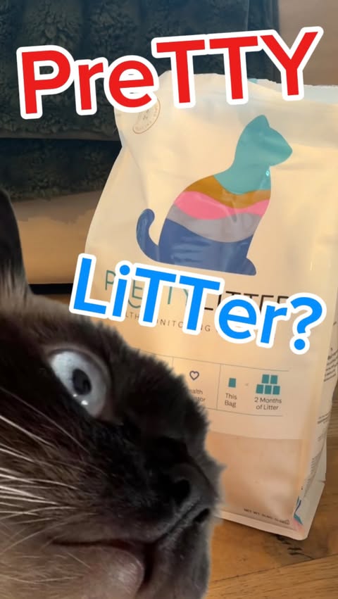 Instagram post by @mervthepet for PrettyLitter. Caption reads: WAT happens weN i try @prettylitter ? WAtCh who it....
