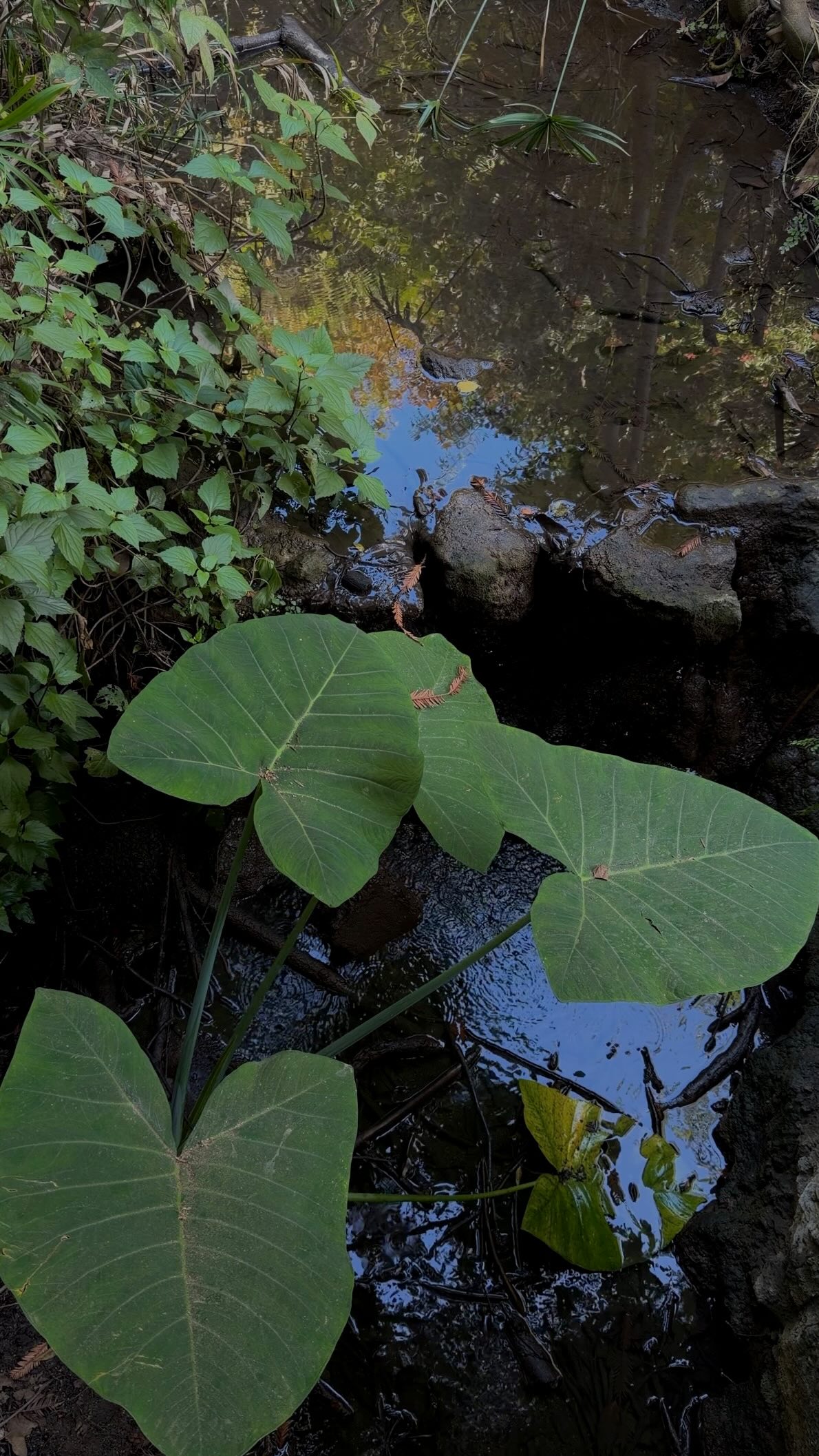 Instagram post by @tammytmai for REI. Caption reads: a gift guide for the outdoorsy boyfriends since....