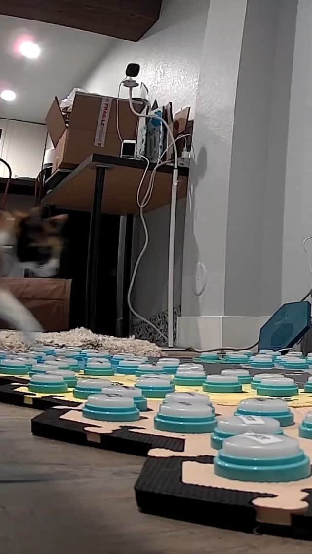 Instagram post by @elsiewants for FluentPet. Caption reads: She can just be brutal sometimes with her word....