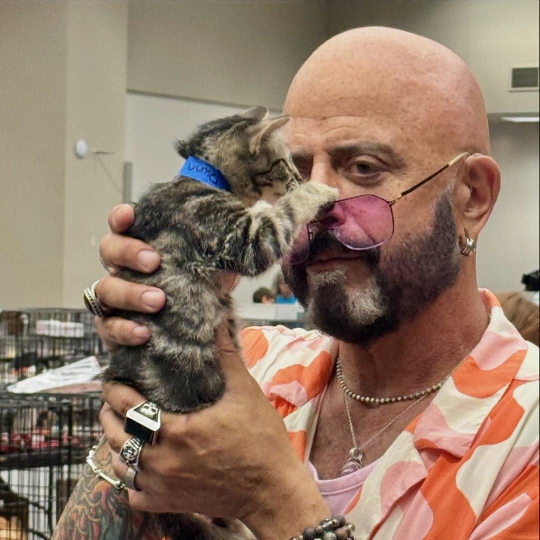 Instagram post by @thecatdaddy for Hills Pet. Caption reads: Proud to be representing the amazing month that....
