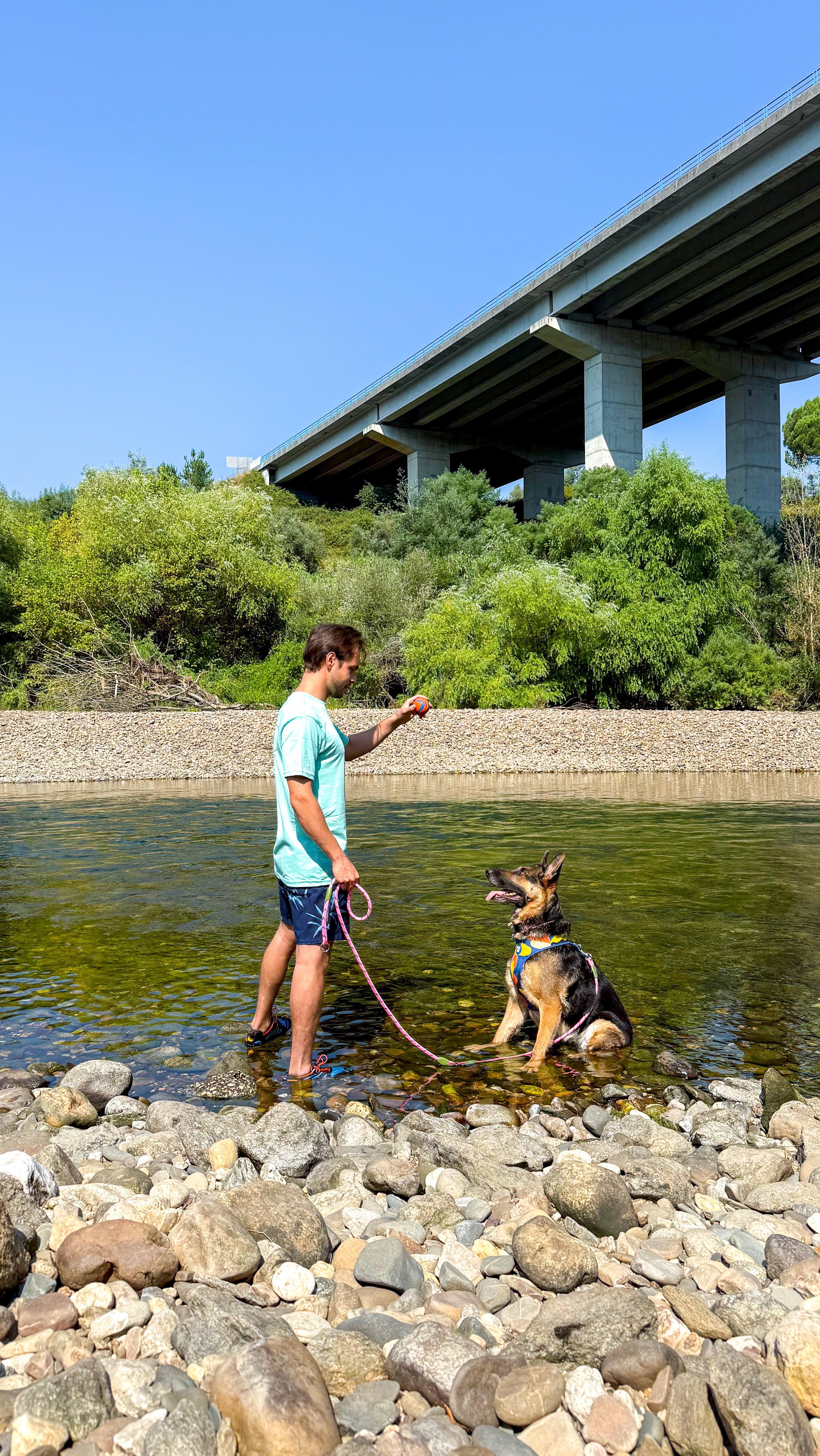 Instagram post by @rodrigo_paganelli for Spartoo. Caption reads: Summer in the river 🏝️🐶
.
.
.
@spartoogram....