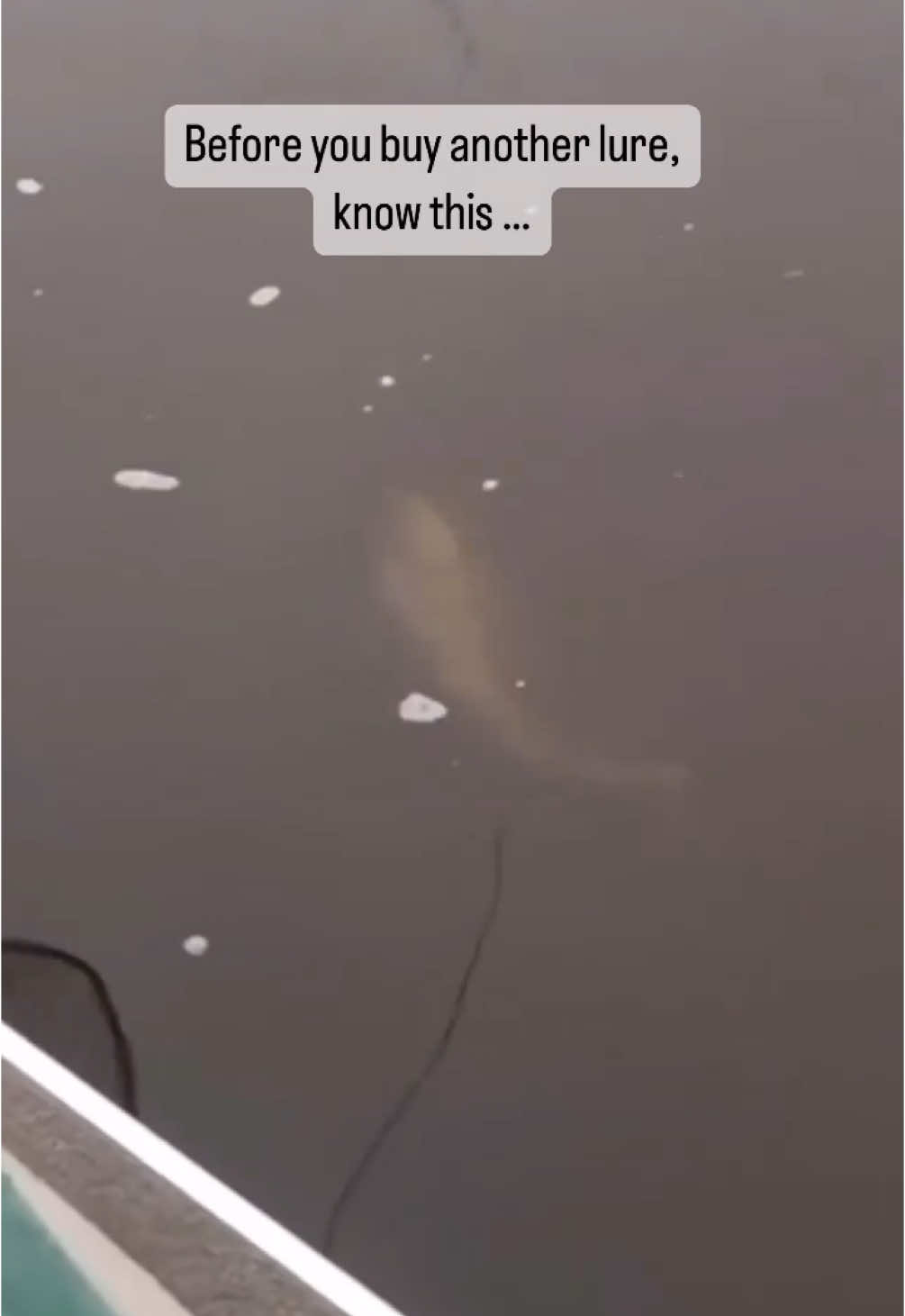 TikTok post by @nicolestoneoutdoors for DSG Outerwear. Caption reads: [...] what you purchase? @Piscifun Fishing @DSG....